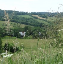 Wolne miejsca w sierpniu w Dwerniku